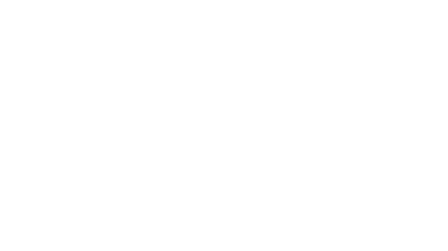 LAPOVISION